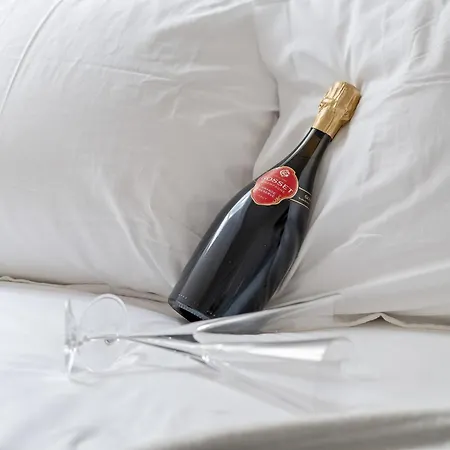 Loft Rosalie - Le Meridien #parking #lave-linge #clim #netflix Charbonnieres-les-Bains